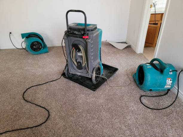 Best Water damage contractors near me  in Botkins, OH
