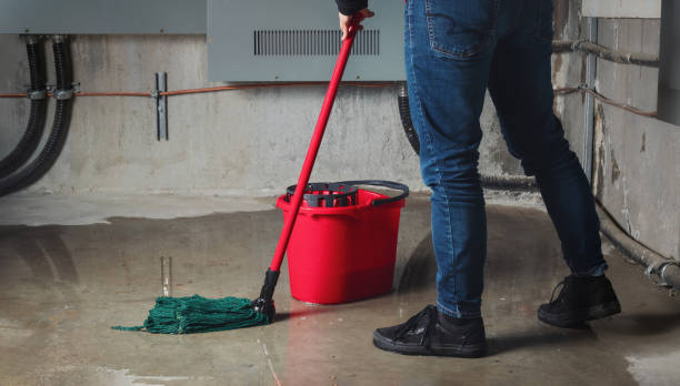 Best Ceiling water damage repair  in Botkins, OH