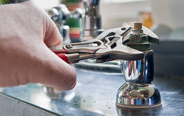 Best Carpet water damage restoration  in Botkins, OH