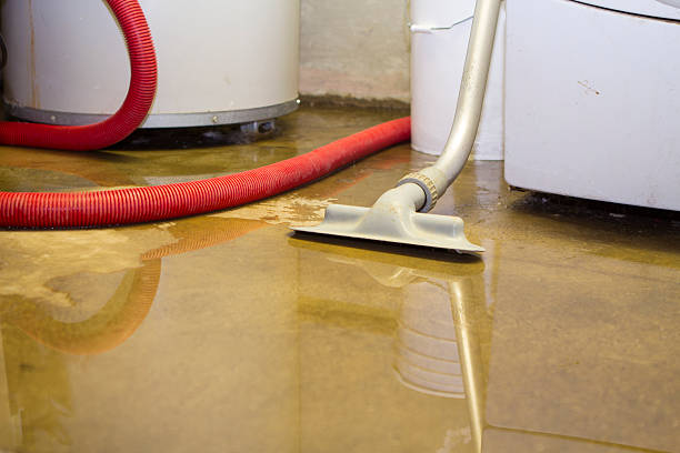 Best Basement water damage restoration  in Botkins, OH