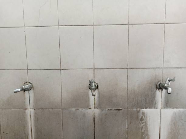 Best Water damage restoration near me  in Botkins, OH
