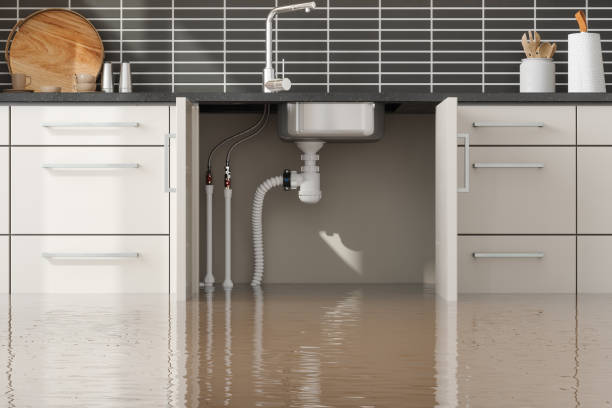 Best Water damage repair service  in Botkins, OH