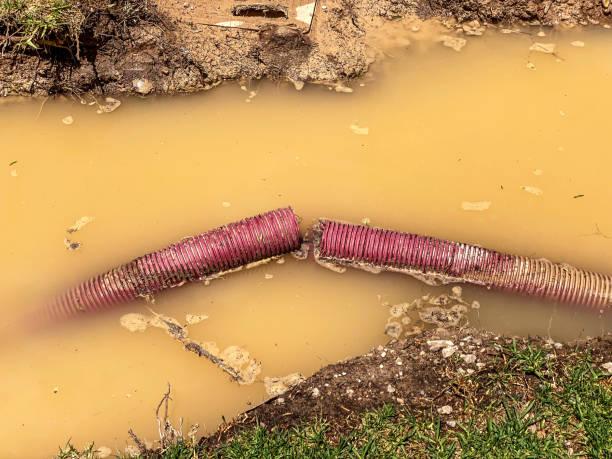 Best Flood damage cleanup  in Botkins, OH