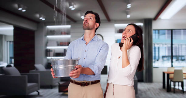 Best Basement water damage restoration  in Botkins, OH
