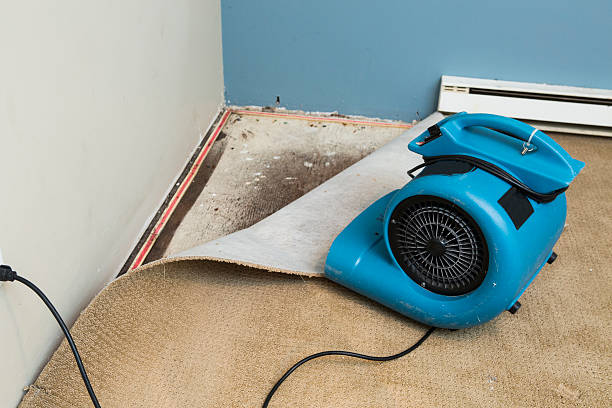 Best Basement water damage restoration  in Botkins, OH